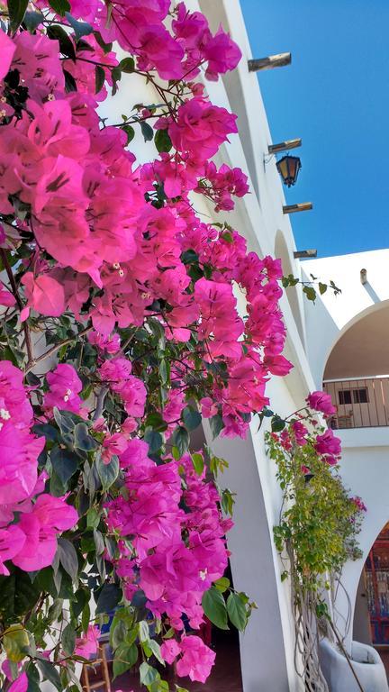 Hotel Hacienda Bugambilias La Paz Kültér fotó